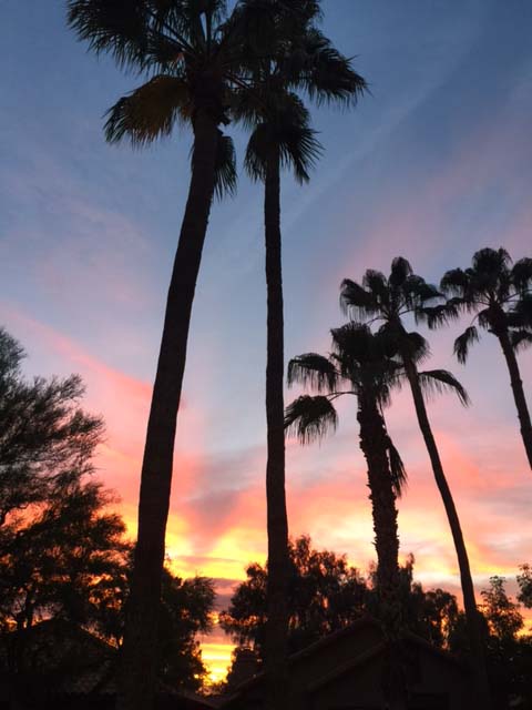 Sun Canyon Sunset in Scottsdale Sun Canyon Sunset in Scottsdale